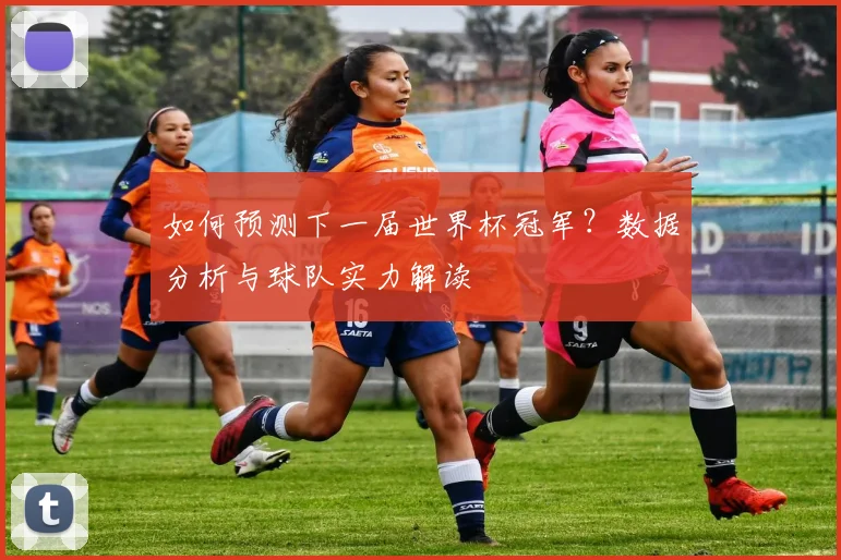 如何预测下一届世界杯冠军？数据分析与球队实力解读